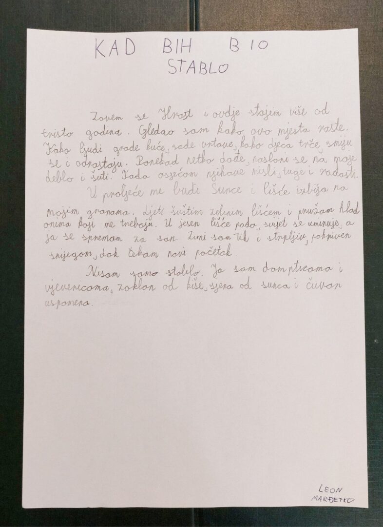 KAD BIH BIO STABLO, Leon Marđetko
Zovem se Hrast i ovdje stojim više od tristo godina. Gledao sam kako ovo mjesto raste.